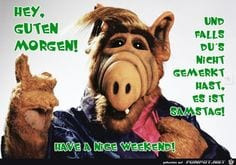 Pin Von Simone Auf Guten Morgen Guten Morgen Lustig Witzige