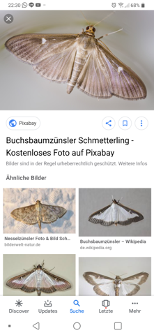 Bild zum Beitrag