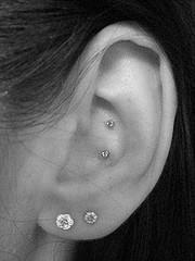 Conch - (Piercing, rook, Conch)