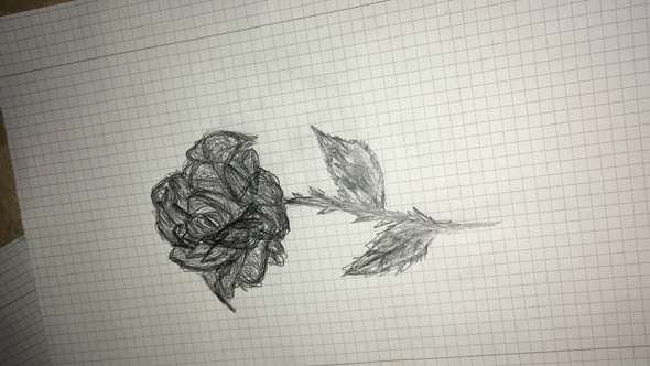 Bild zum Beitrag