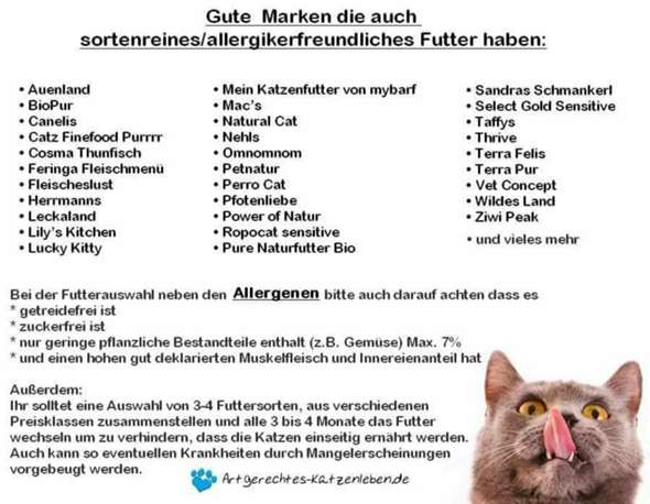 Wie Oft Dürfen Babykatzen Nassfutter Essen Gesundheit Und