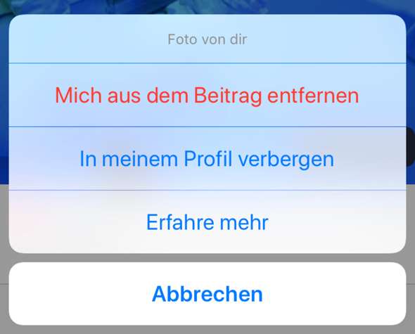 Bild zum Beitrag