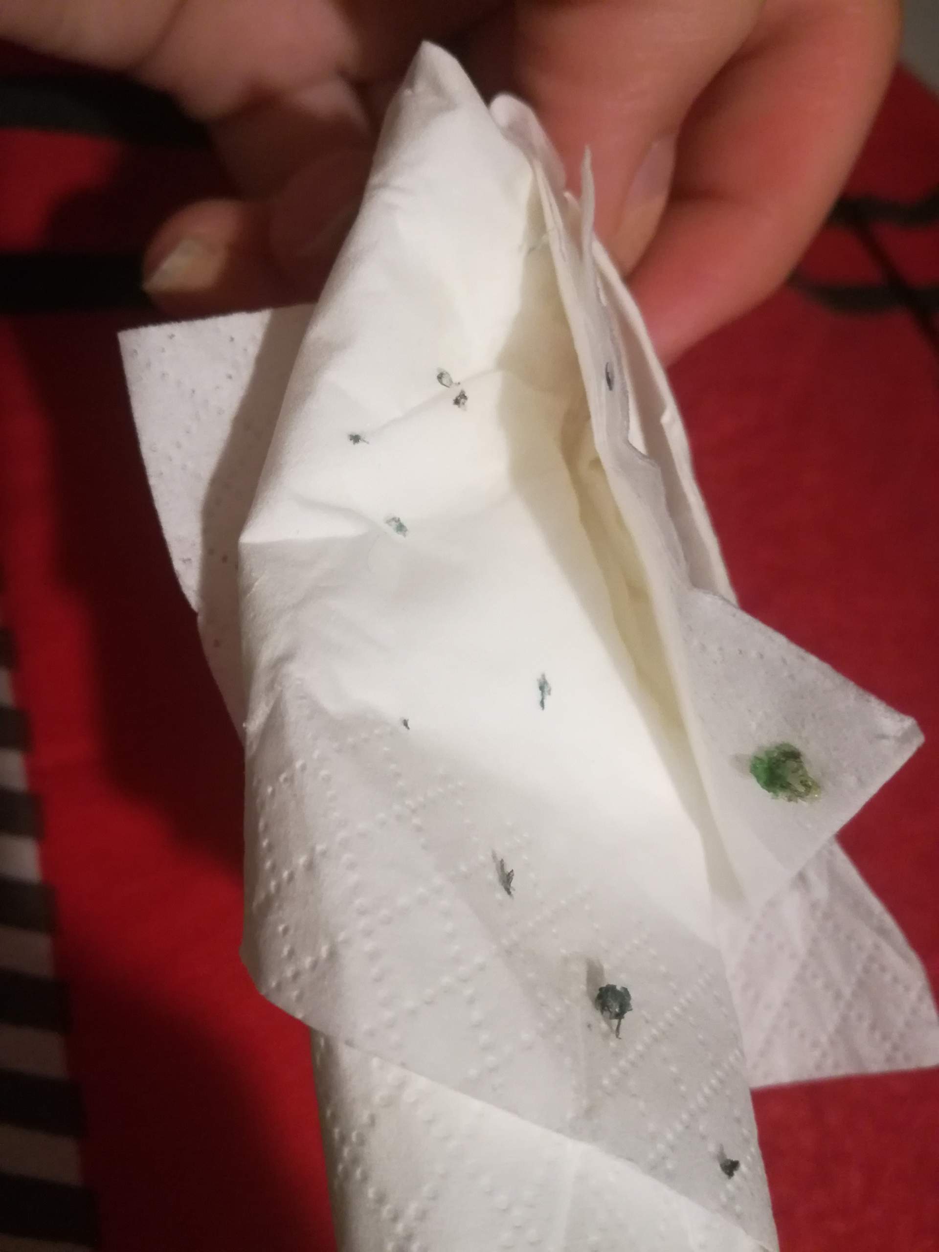 Tattoo Haut löst sich komplett samt Farbe? (Gesundheit und Medizin, Gesundheit)