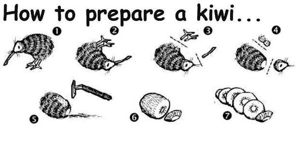 Kiwi - (Freizeit, Tiere, Feder)