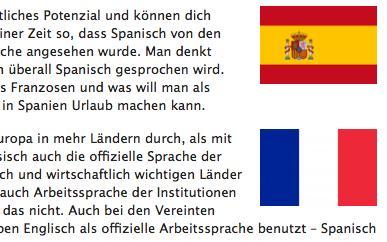 Spanisch oder Französisch als 2. Fremdsprache? (franzoesisch)