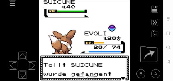 Bild zum Beitrag