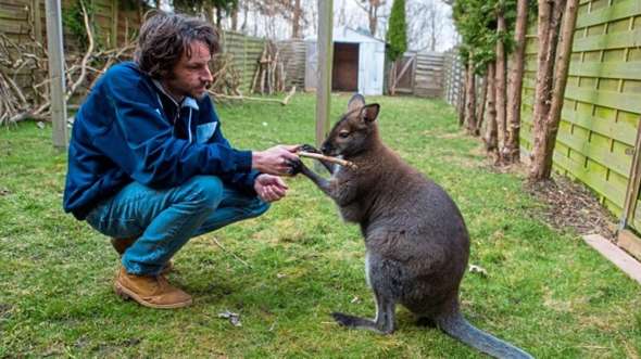 - (Psychologie, Tiere, Angst)