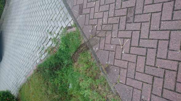 Bild zum Beitrag