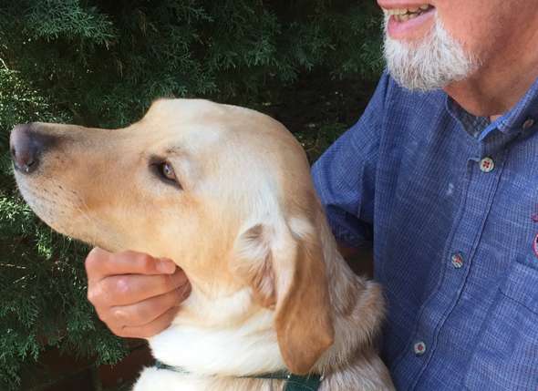 - (Hund, Hunderassen)
