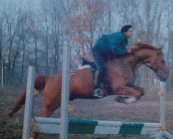 Springen - (Pferd, Reiten, Reitbeteiligung)