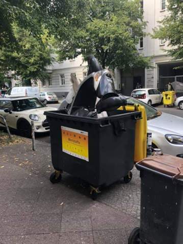 Bild zum Beitrag