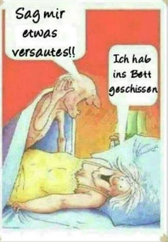 Bild zum Beitrag