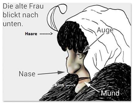 Bild zum Beitrag