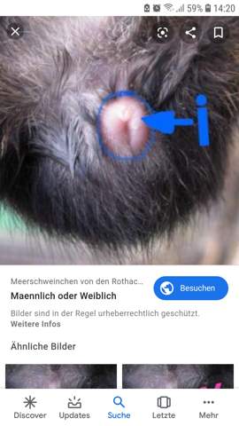 Bild zum Beitrag