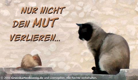 Bleib wie die Maus :D - (Schule, Jungs, Liebeskummer)