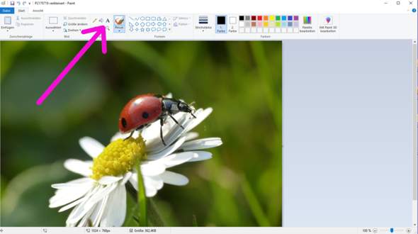 Fotos auf Windows 10 bearbeiten - Text auf Foto hinzufügen? (Computer, Technik, PC)