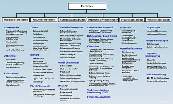 Wie Forensik Im Untergebiet Der Psychologie Studieren Schule Ausbildung Und Studium Beruf Und Buro