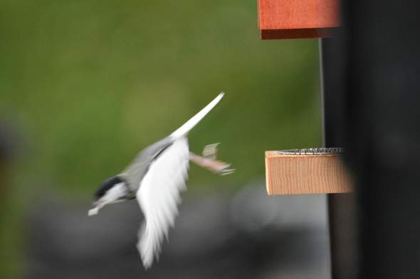 Bild zum Beitrag