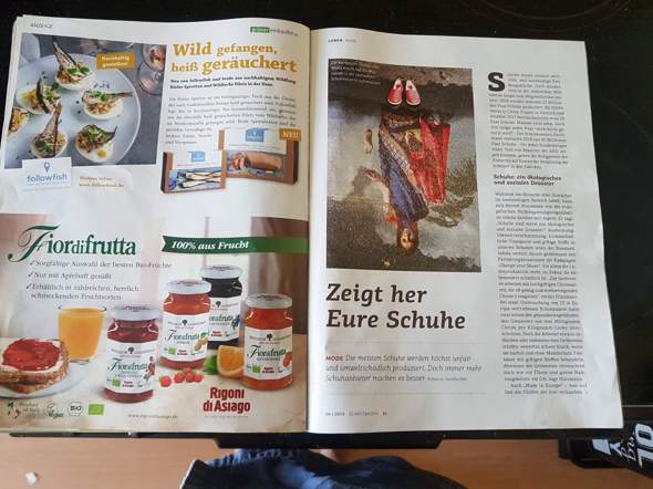- (Schule, Ausbildung und Studium, MSA)