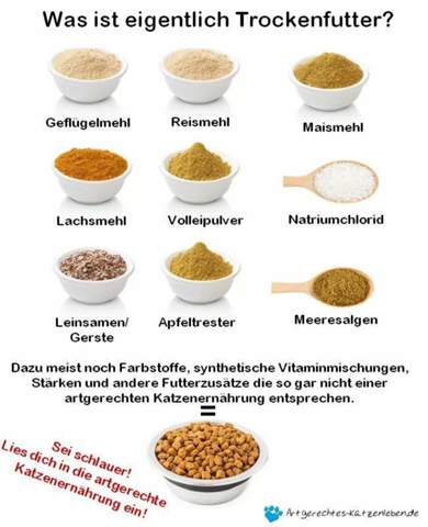 - (Gesundheit und Medizin, Ernährung, Tiere)