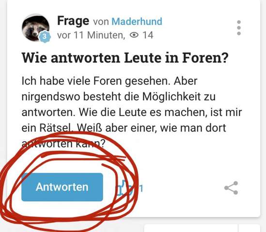Bild zum Beitrag