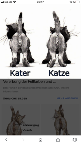 Bild zum Beitrag