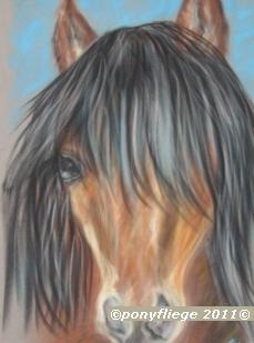 pastell - malen - pferd - kunst - pferderassen - dartmoorpony - (Schuhe, Kunst, zeichnen)