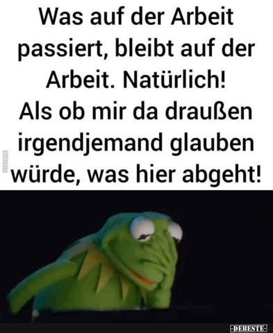 Dumme Spruche Furs Buro Lustig Memeseite