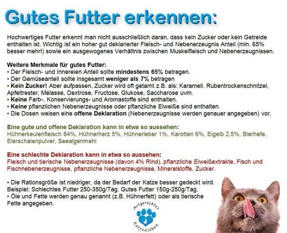 wie richtig meine katze futtern katzen futter artgerechte haltung