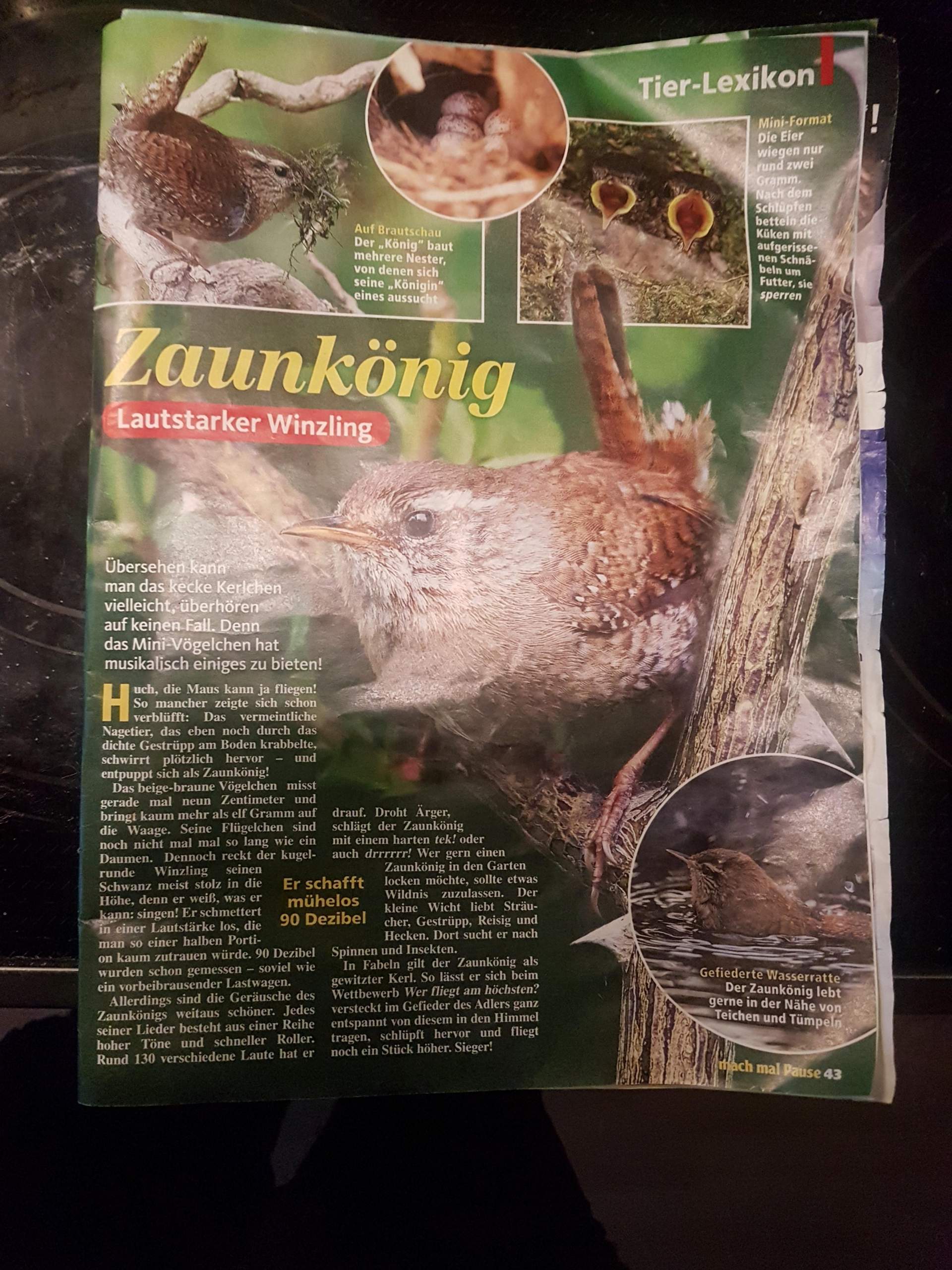 Sachgespräch im Kindergarten? (Schule, Ausbildung und Studium, Ausbildung)