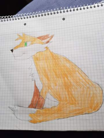 Bild zum Beitrag