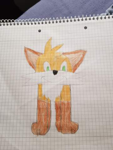 Bild zum Beitrag