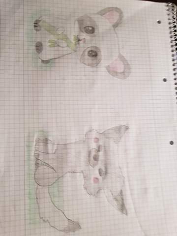 Bild zum Beitrag