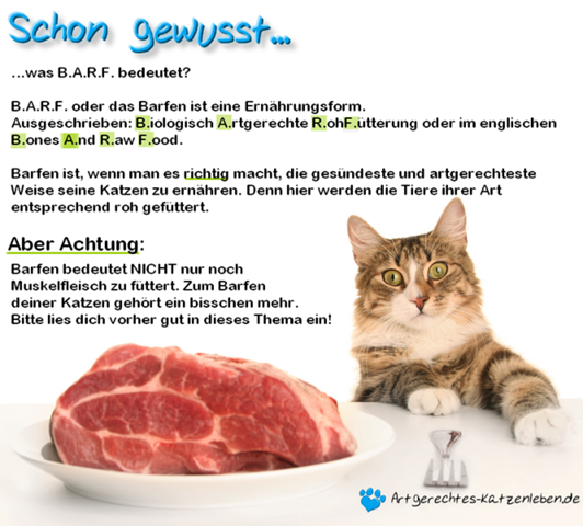  - (Gesundheit und Medizin, Tiere, Katze)