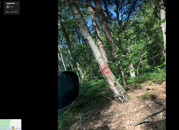 Bild zum Beitrag