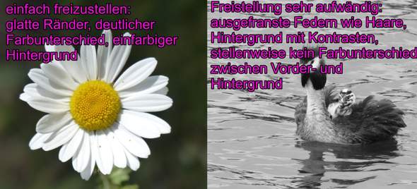 Hilfe Bei Bildbearbeitung Fur Weihnachten Photoshop Gimp Bildbearbeitungsprogramm