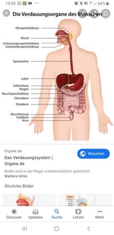 Bild zum Beitrag