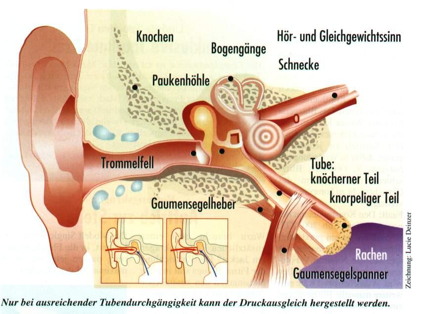 Gesundes Netzwerk - Gesundheitszentrum Bad Laer e.V. - Reha