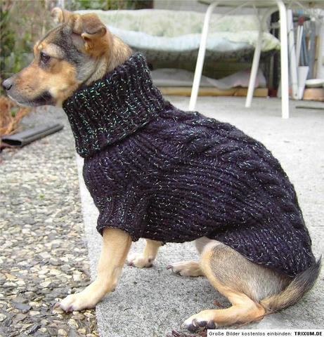 rund - (Mode, Hund, stricken)