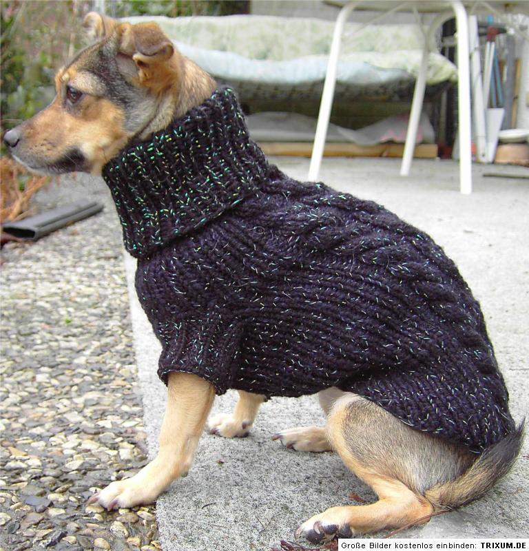 Hundepullover mit "Verschluss" (Hund, Mode, stricken)