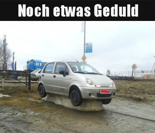 Bild zum Beitrag