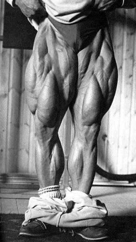 Tom Platz - (Training, Muskelaufbau, Bodybuilding)