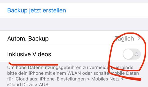 Bild zum Beitrag