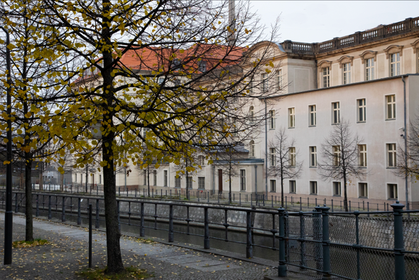 Bild zum Beitrag