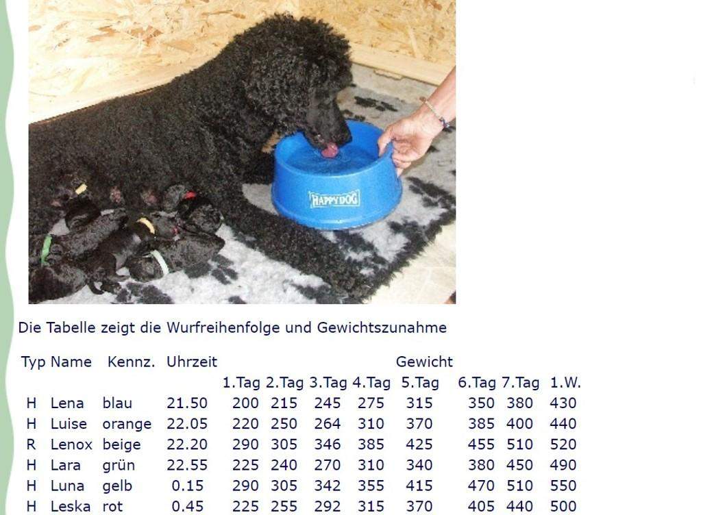Zunahme Gewicht welpen? (Hund, Gewichtszunahme, Gewichtsverlust)