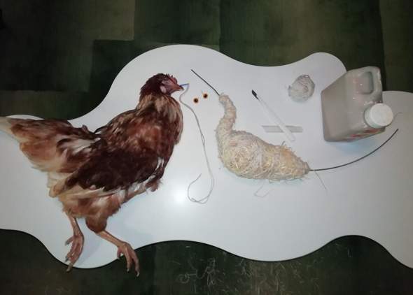 - (Freizeit, Tiere, Menschen)