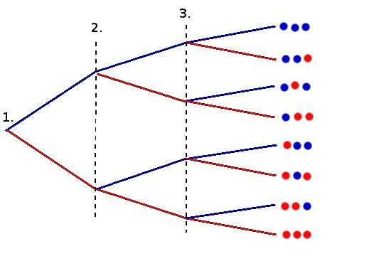 Aufbau Baumdiagramm - (Mathe, Mathematik, Wahrscheinlichkeit)
