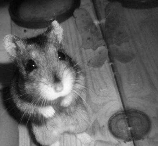 Was Kann Ich W 14 Mir Zu Meinem Geburtstag Wunschen