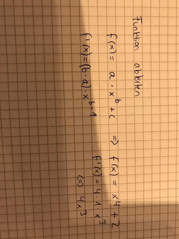 Bild zum Beitrag