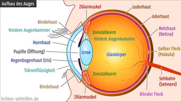 Bild zum Beitrag